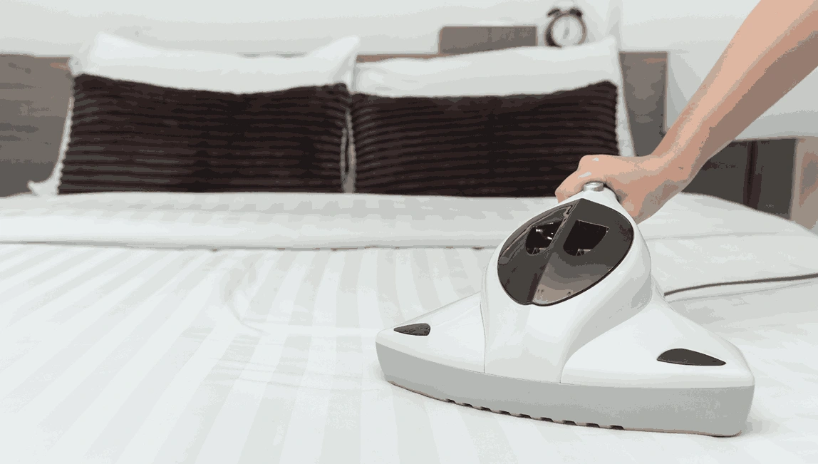 Professional Mattress Cleaning Sunshine